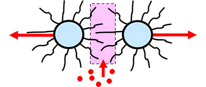 空間穩(wěn)定:覆蓋著可溶性尾巴的顆粒相互排斥