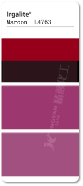 巴斯夫L4763有機顏料色卡